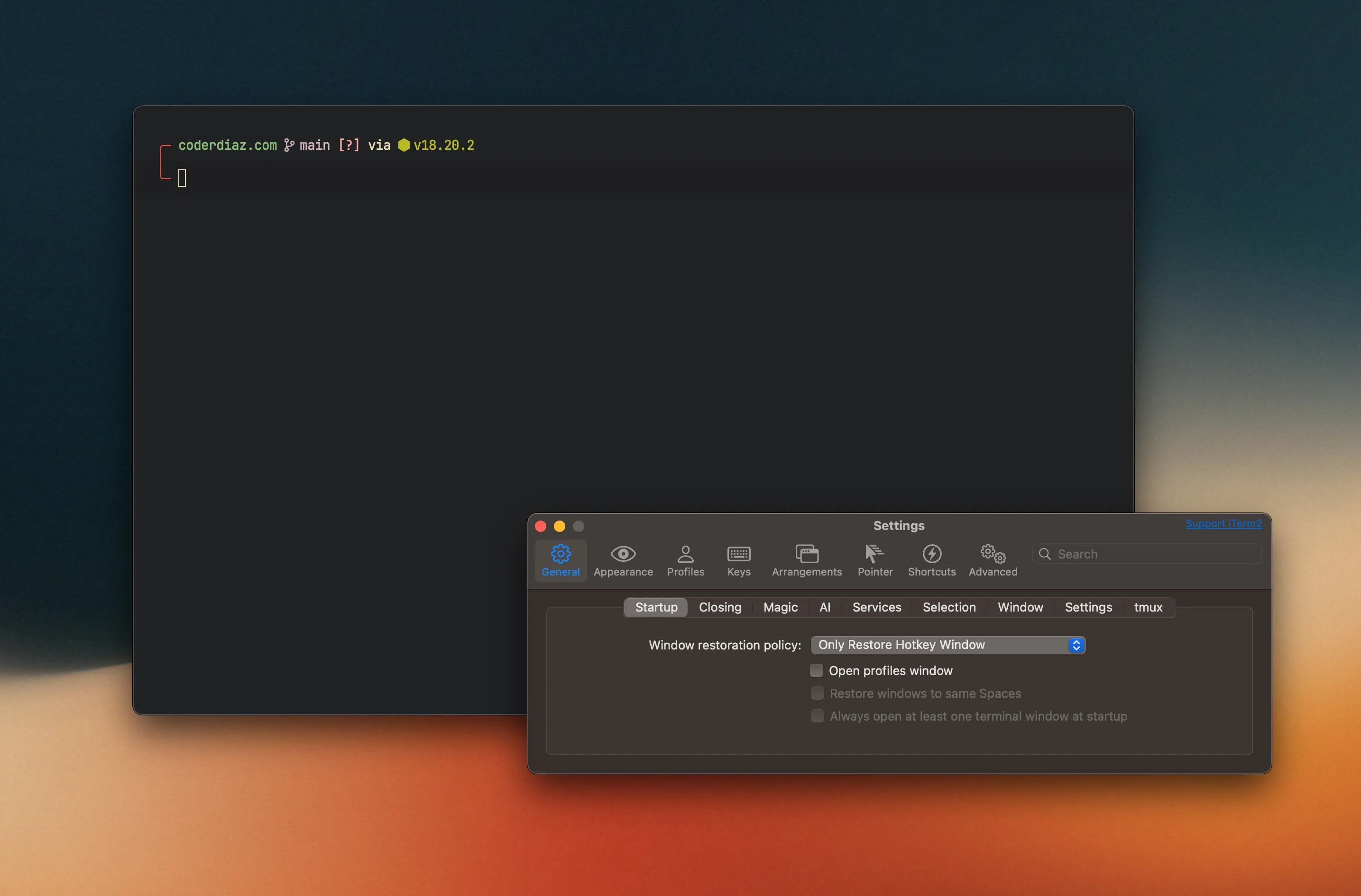 Terminal iTerm en acción